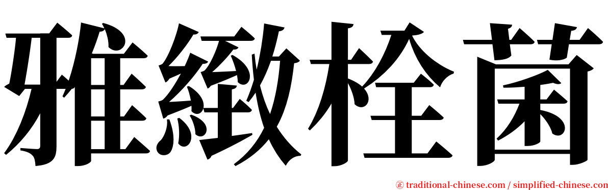 雅緻栓菌 serif font