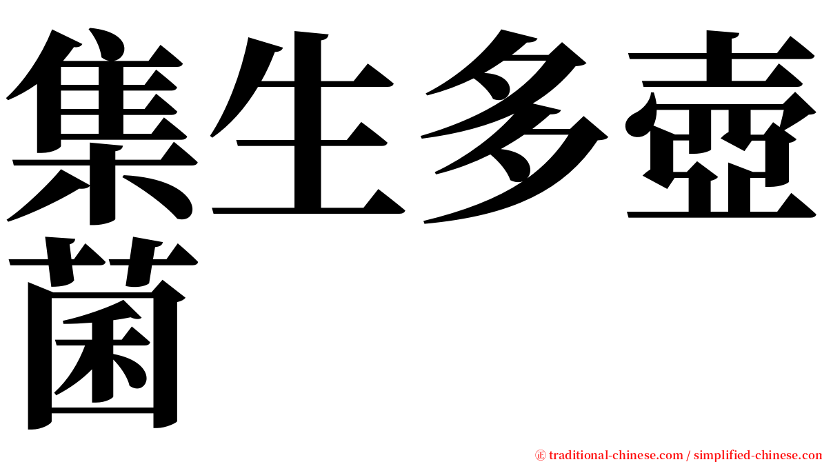 集生多壺菌 serif font