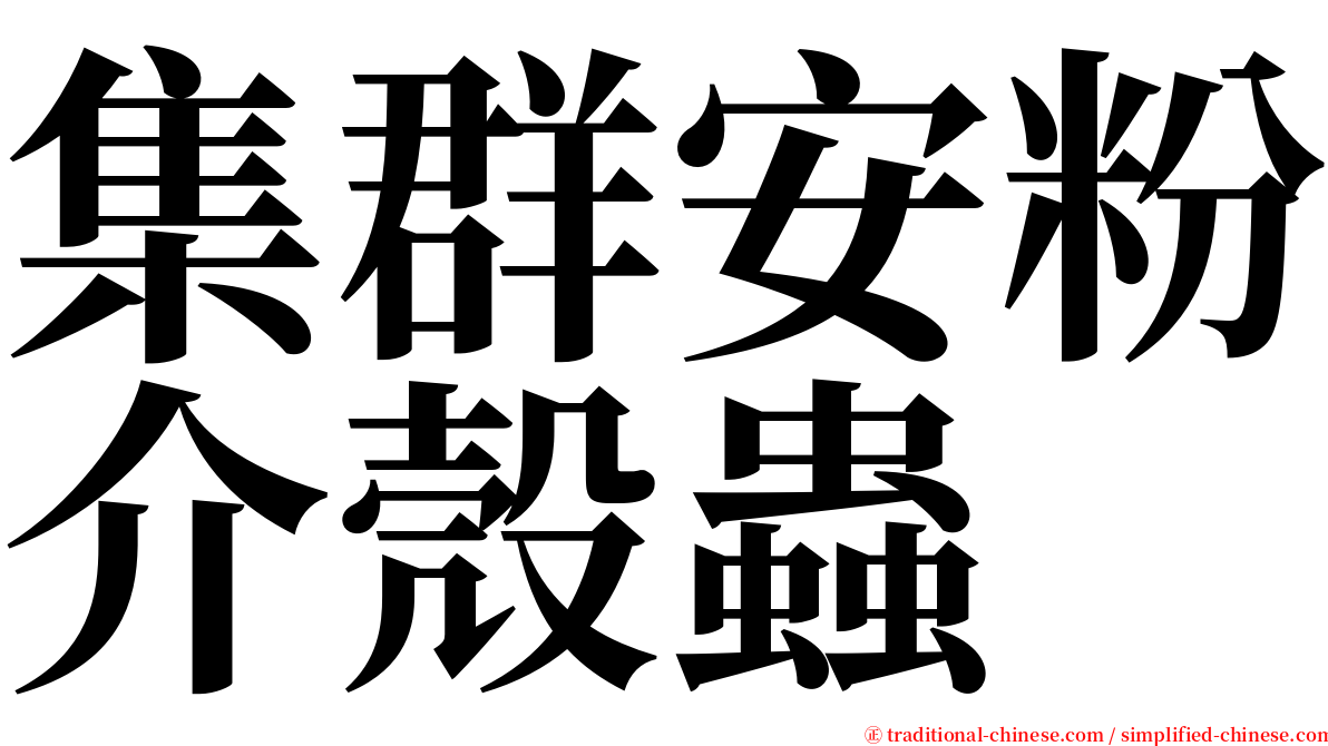 集群安粉介殼蟲 serif font