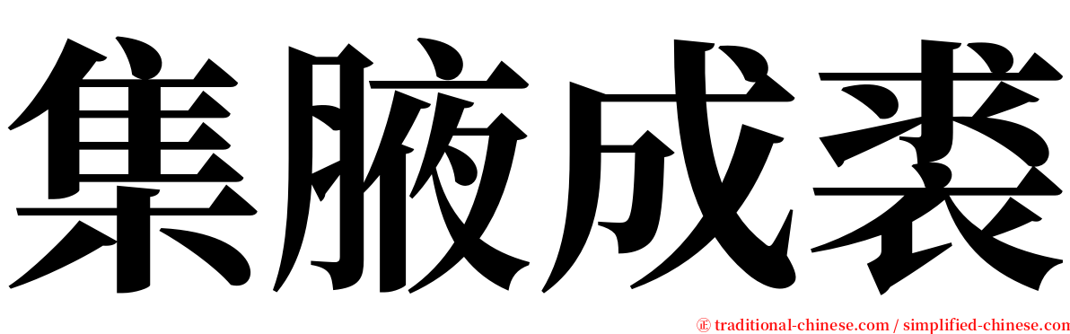 集腋成裘 serif font