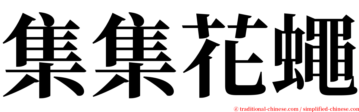 集集花蠅 serif font