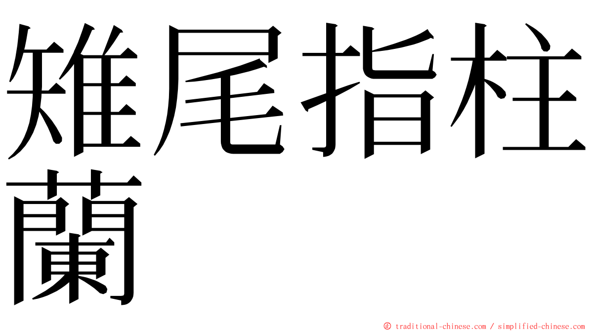 雉尾指柱蘭 ming font