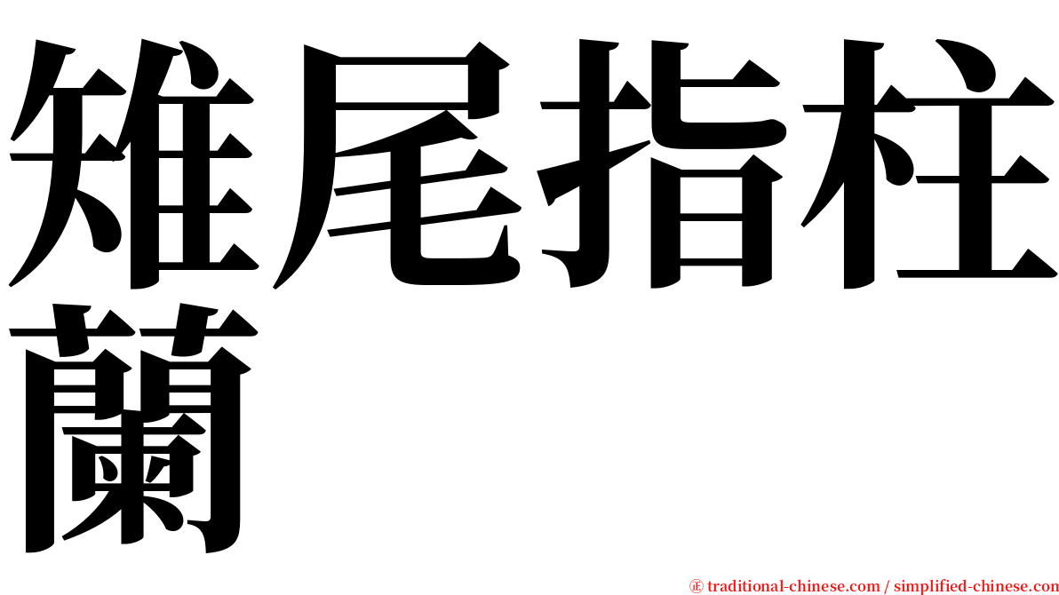 雉尾指柱蘭 serif font