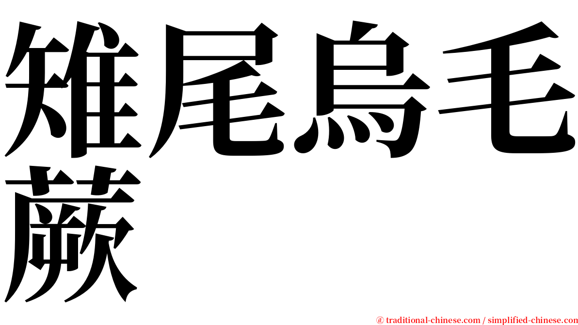 雉尾烏毛蕨 serif font