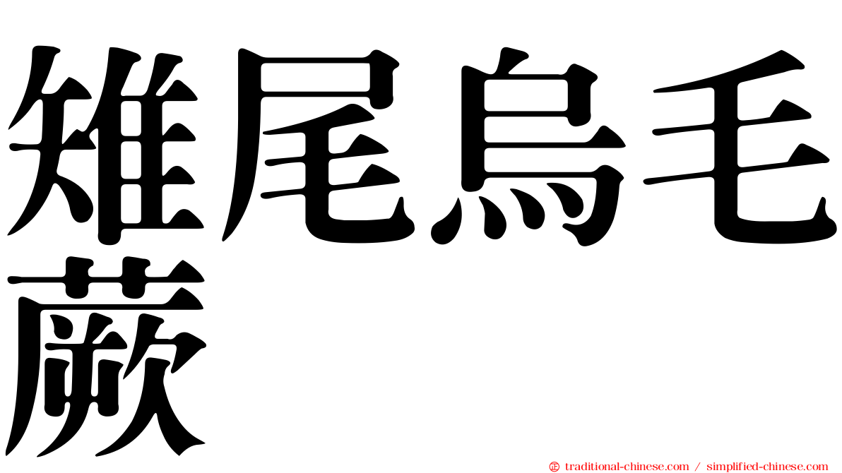 雉尾烏毛蕨