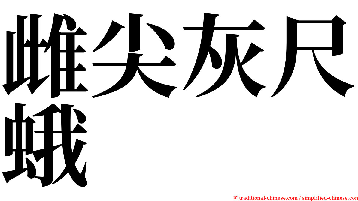 雌尖灰尺蛾 serif font