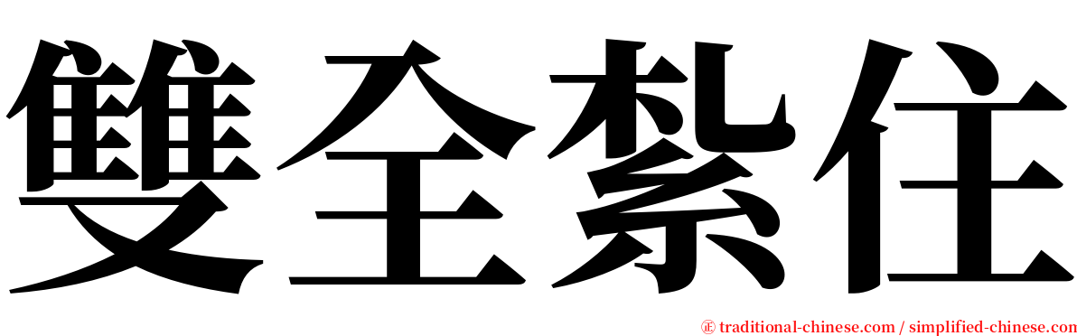 雙全紮住 serif font