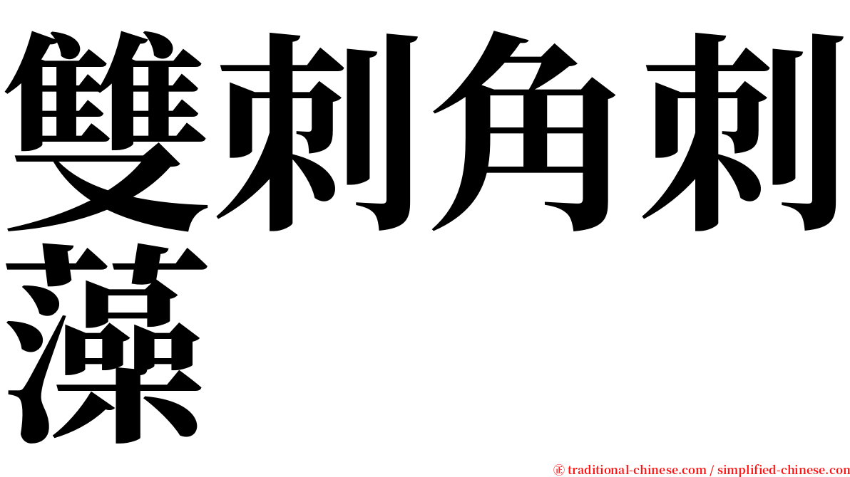 雙刺角刺藻 serif font