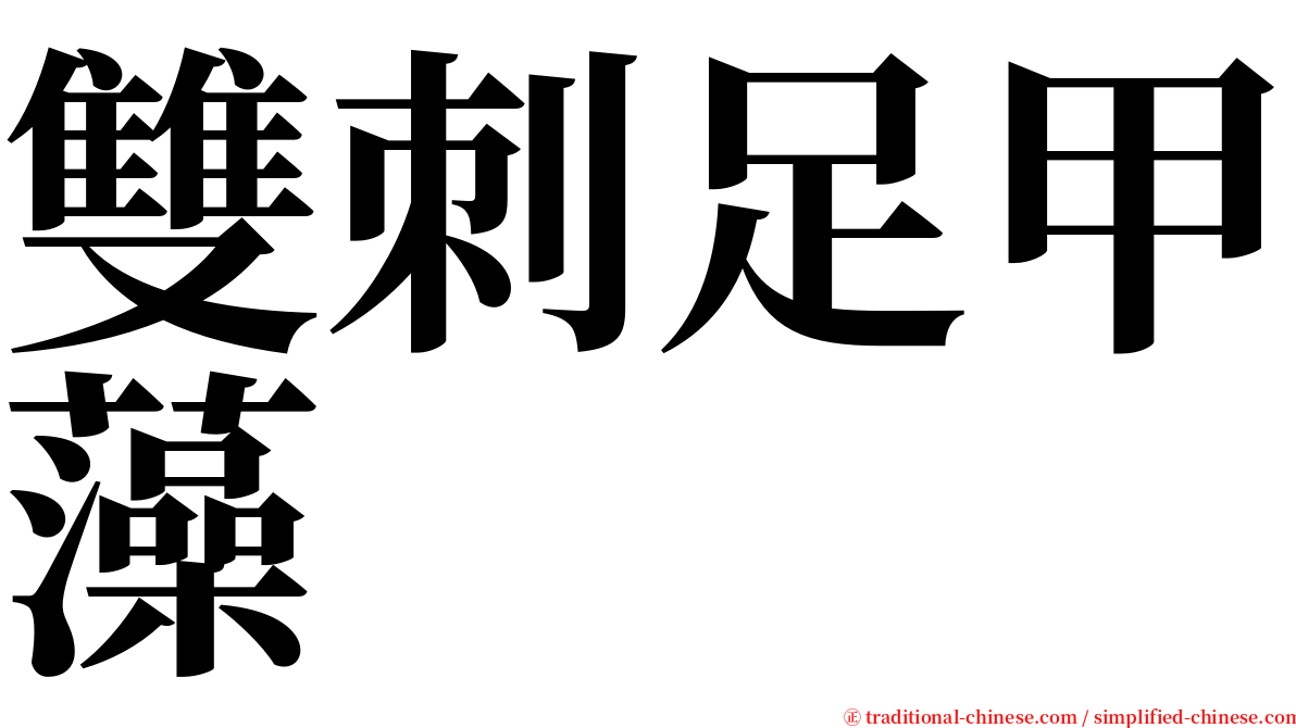 雙刺足甲藻 serif font