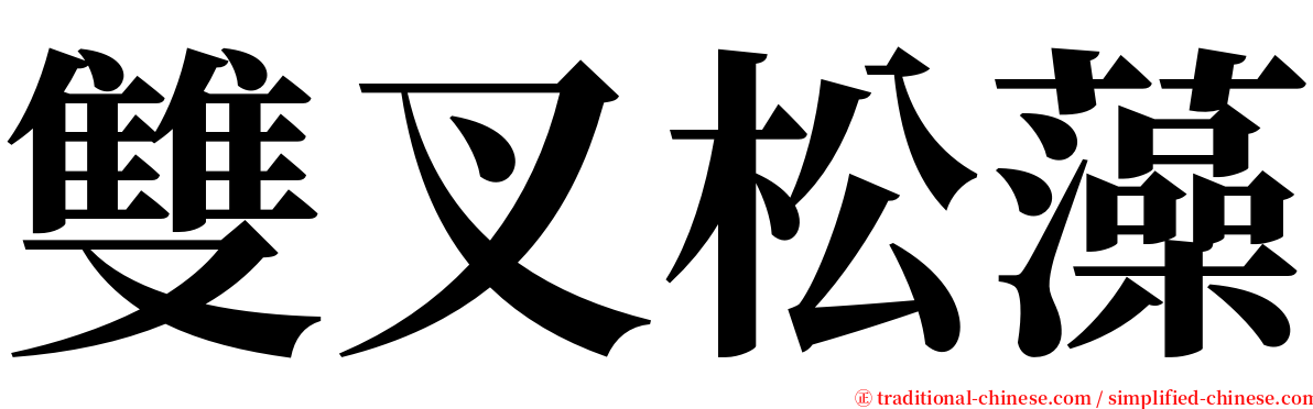 雙叉松藻 serif font