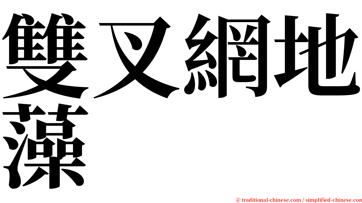 雙叉網地藻 serif font