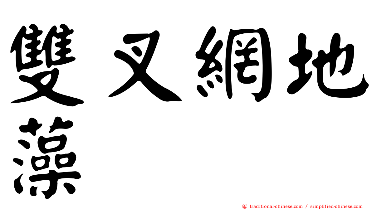 雙叉網地藻