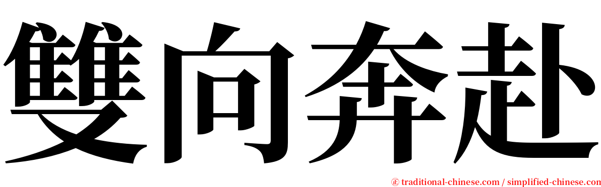 雙向奔赴 serif font