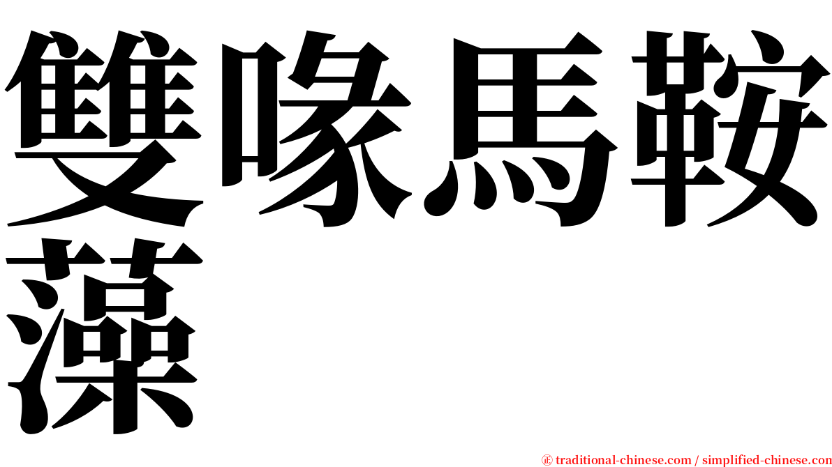 雙喙馬鞍藻 serif font