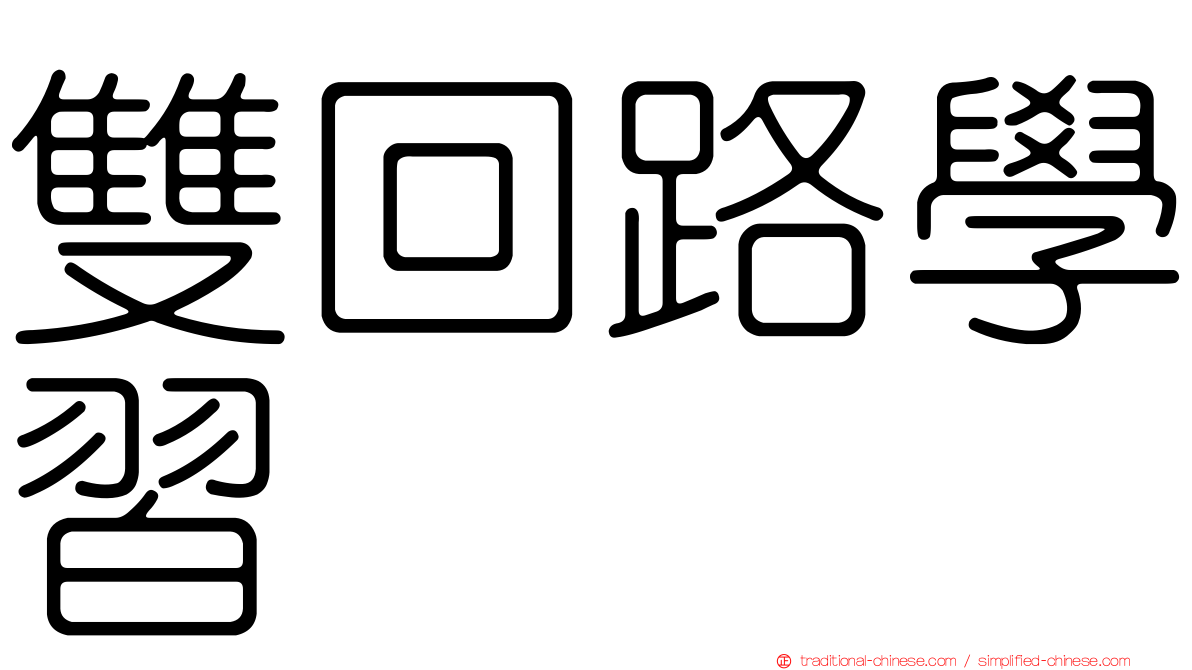 雙回路學習
