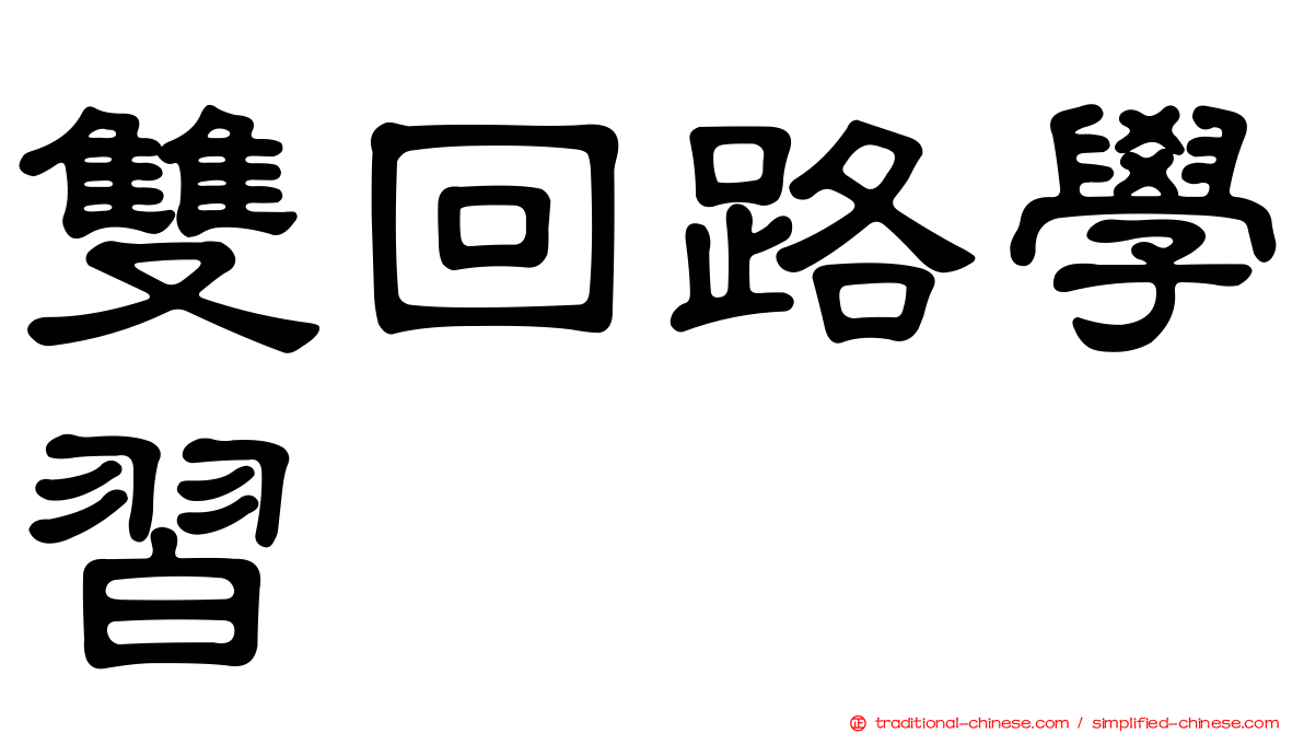 雙回路學習