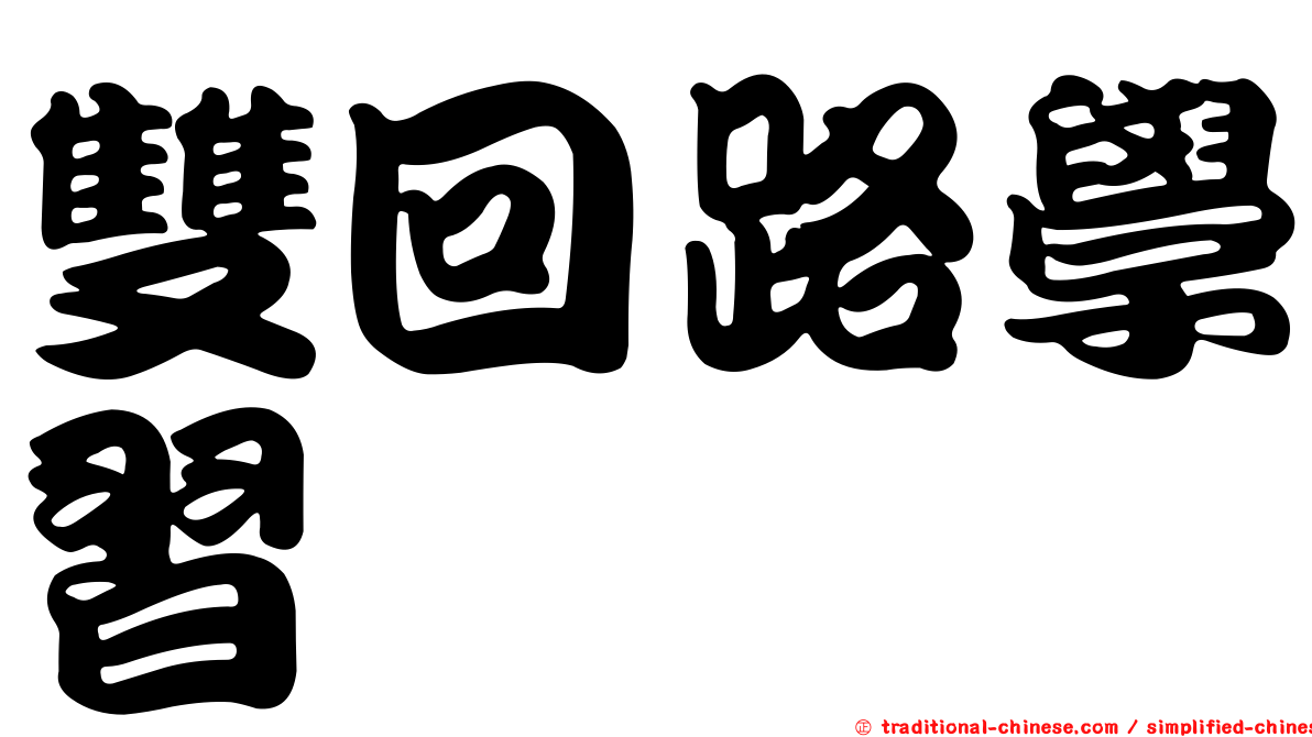 雙回路學習