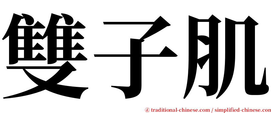 雙子肌 serif font