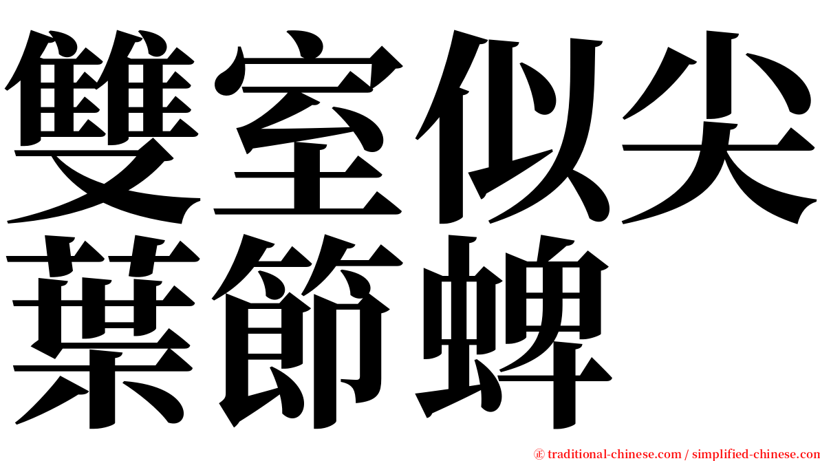 雙室似尖葉節蜱 serif font