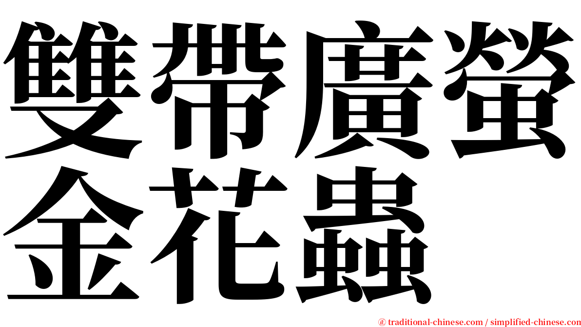 雙帶廣螢金花蟲 serif font