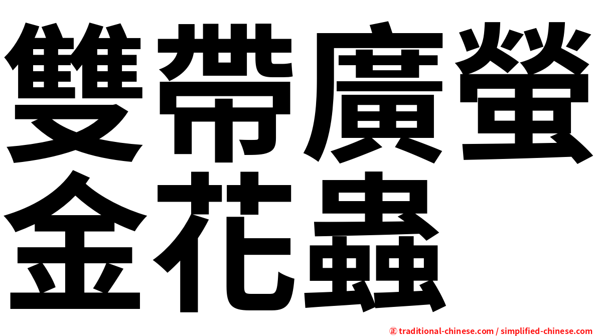 雙帶廣螢金花蟲