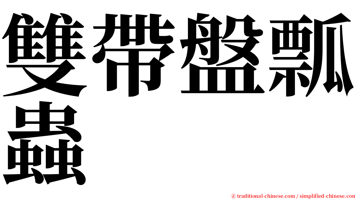 雙帶盤瓢蟲 serif font