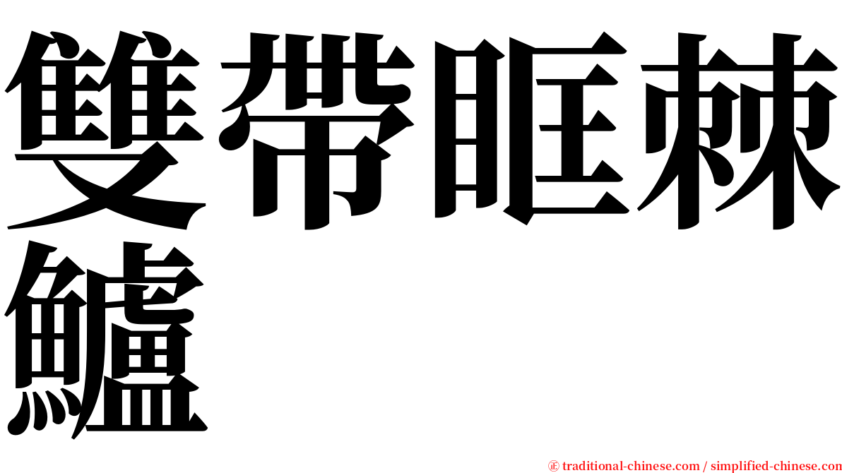 雙帶眶棘鱸 serif font