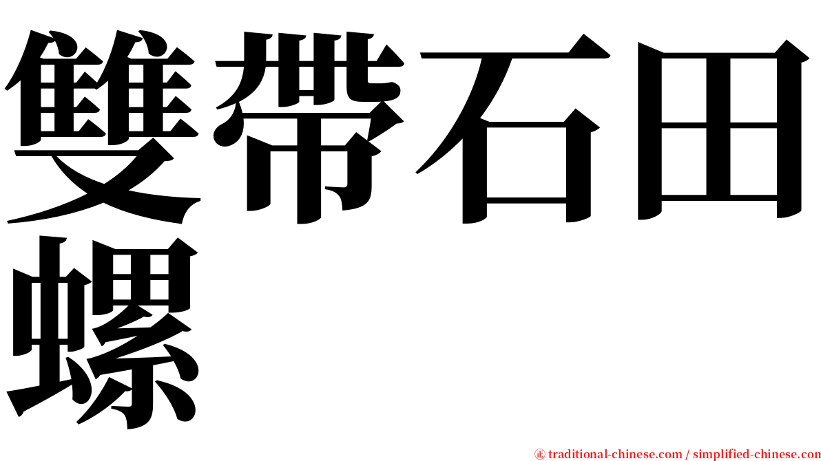 雙帶石田螺 serif font