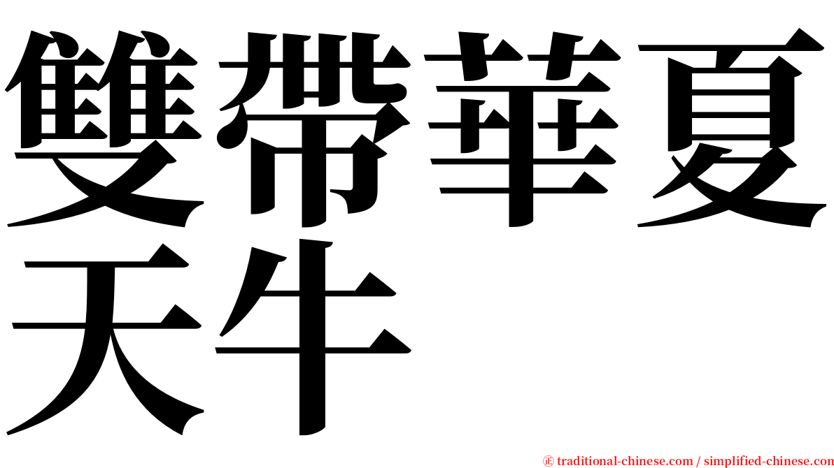 雙帶華夏天牛 serif font