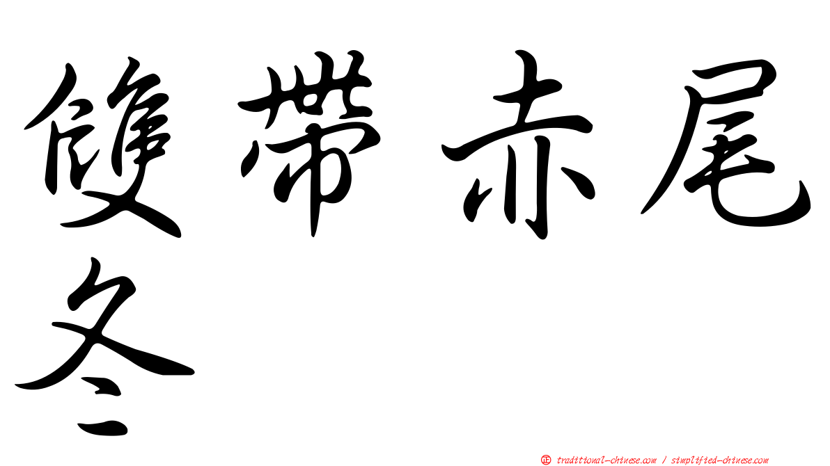 雙帶赤尾冬