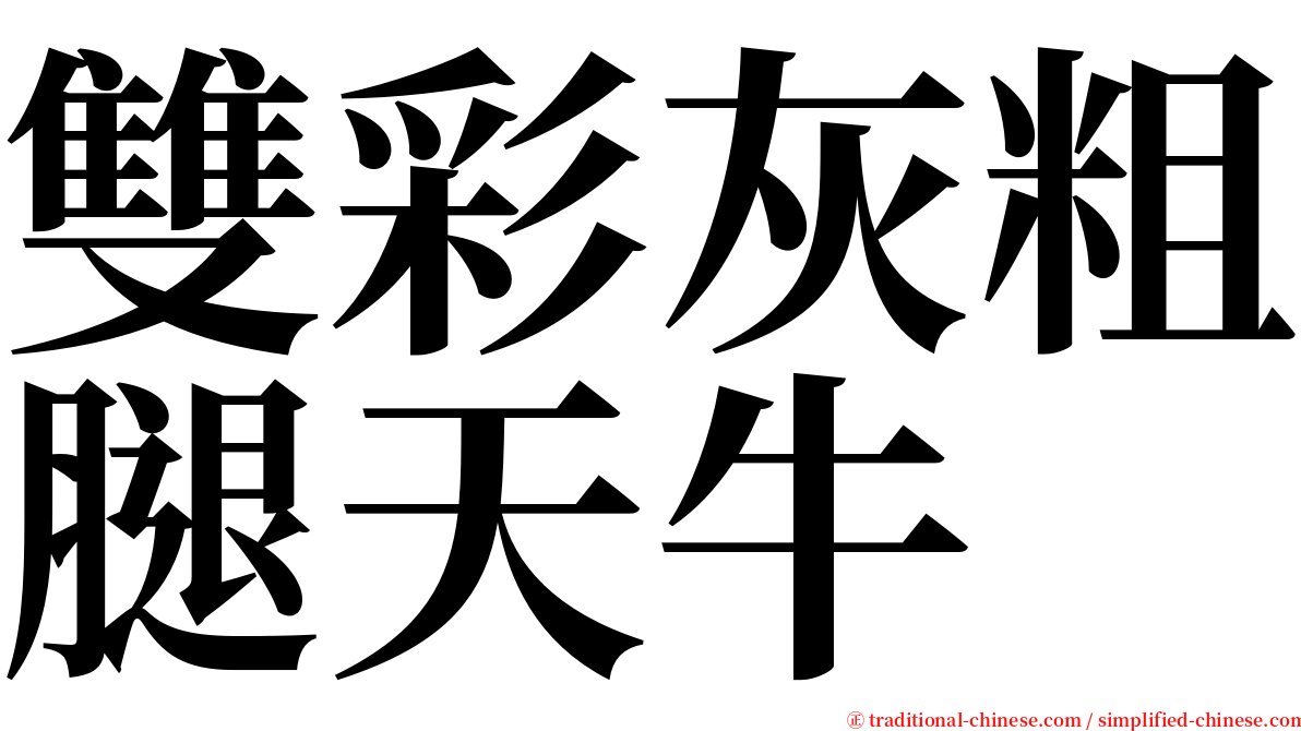 雙彩灰粗腿天牛 serif font