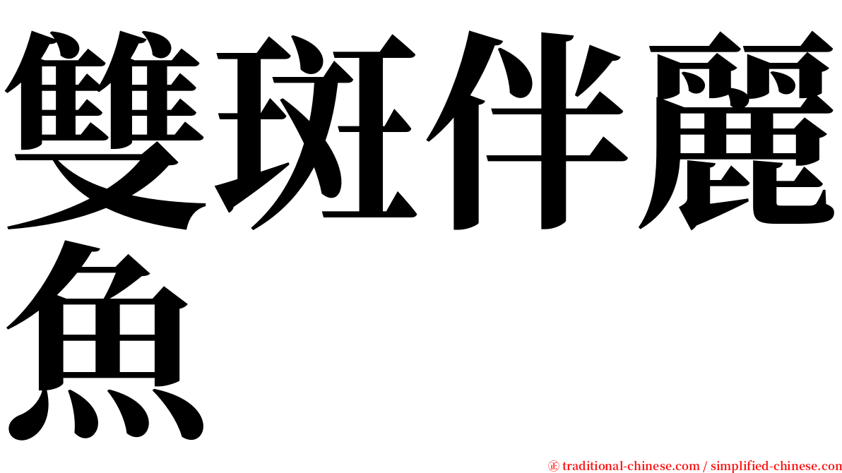 雙斑伴麗魚 serif font