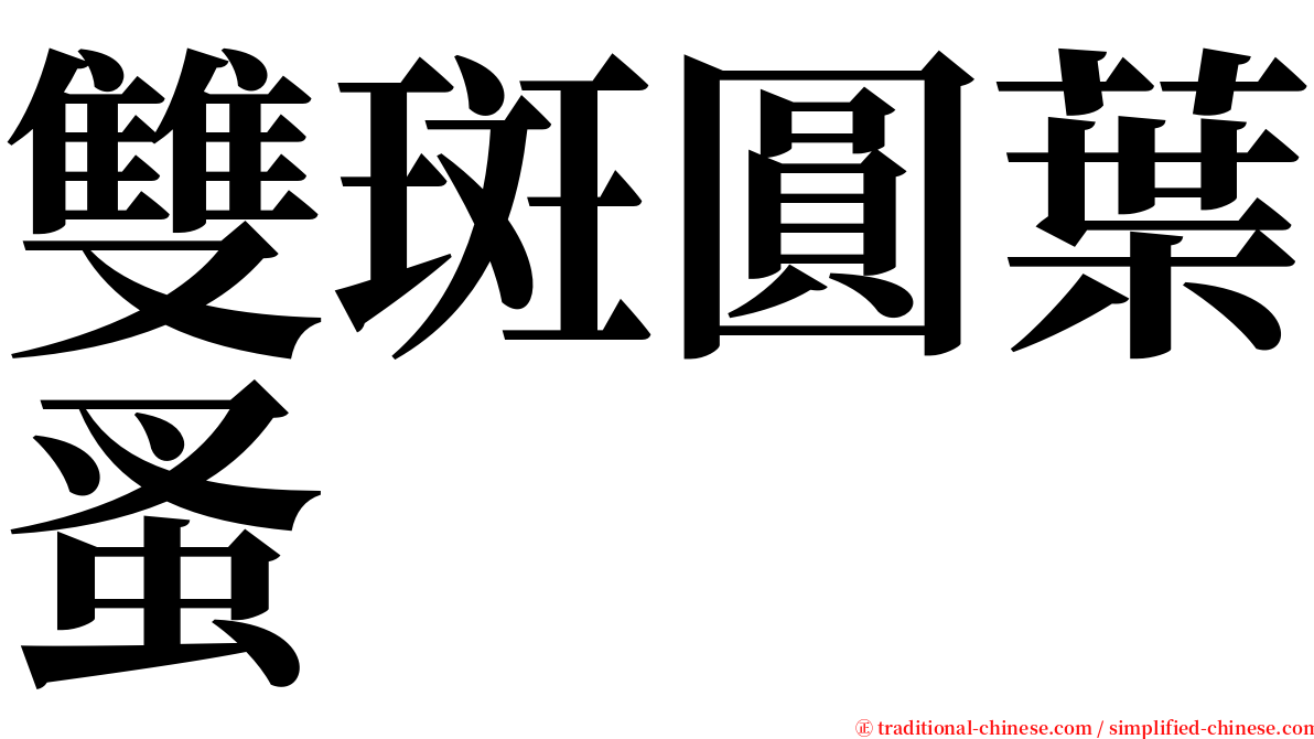 雙斑圓葉蚤 serif font