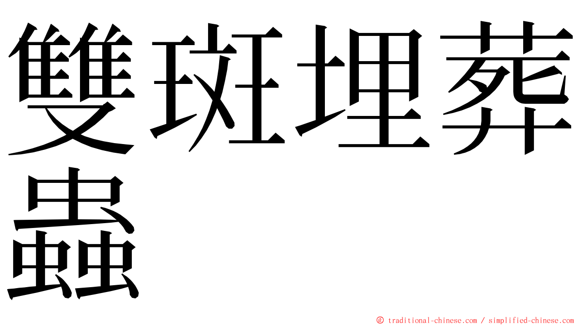 雙斑埋葬蟲 ming font