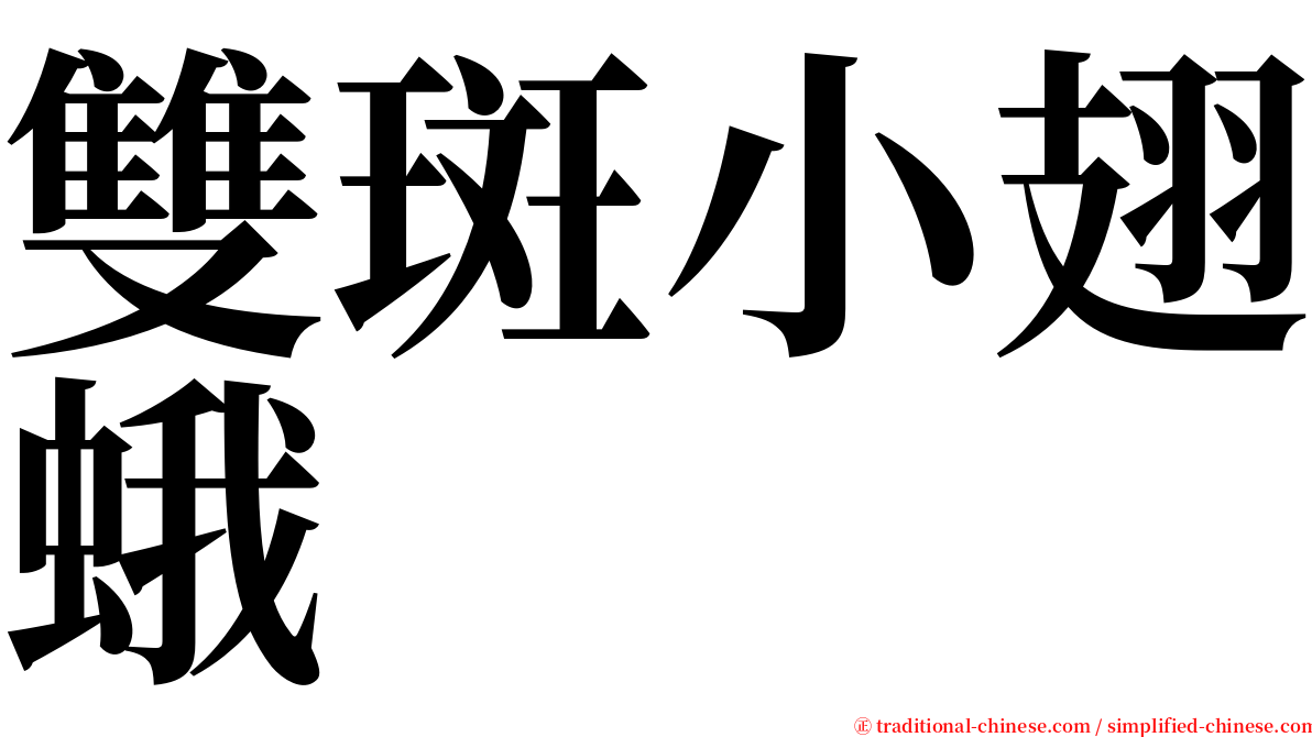 雙斑小翅蛾 serif font