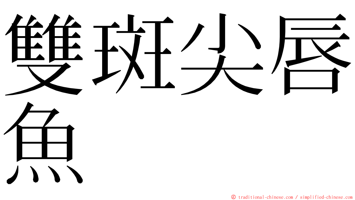 雙斑尖唇魚 ming font