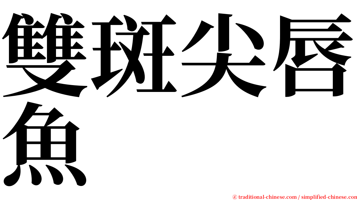 雙斑尖唇魚 serif font