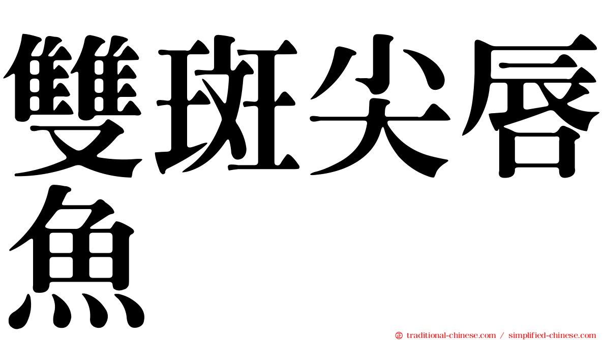 雙斑尖唇魚