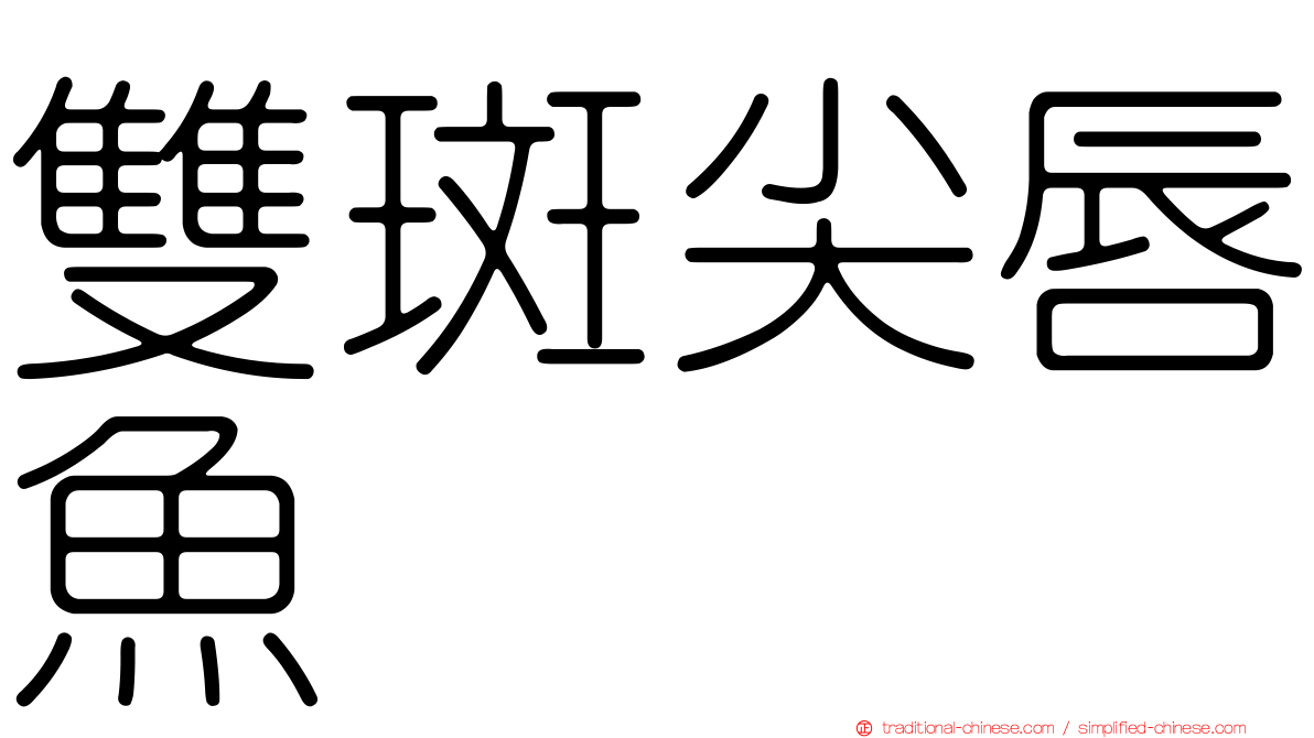 雙斑尖唇魚