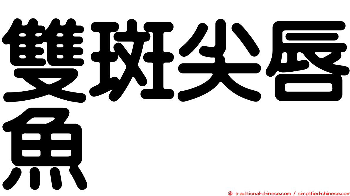 雙斑尖唇魚