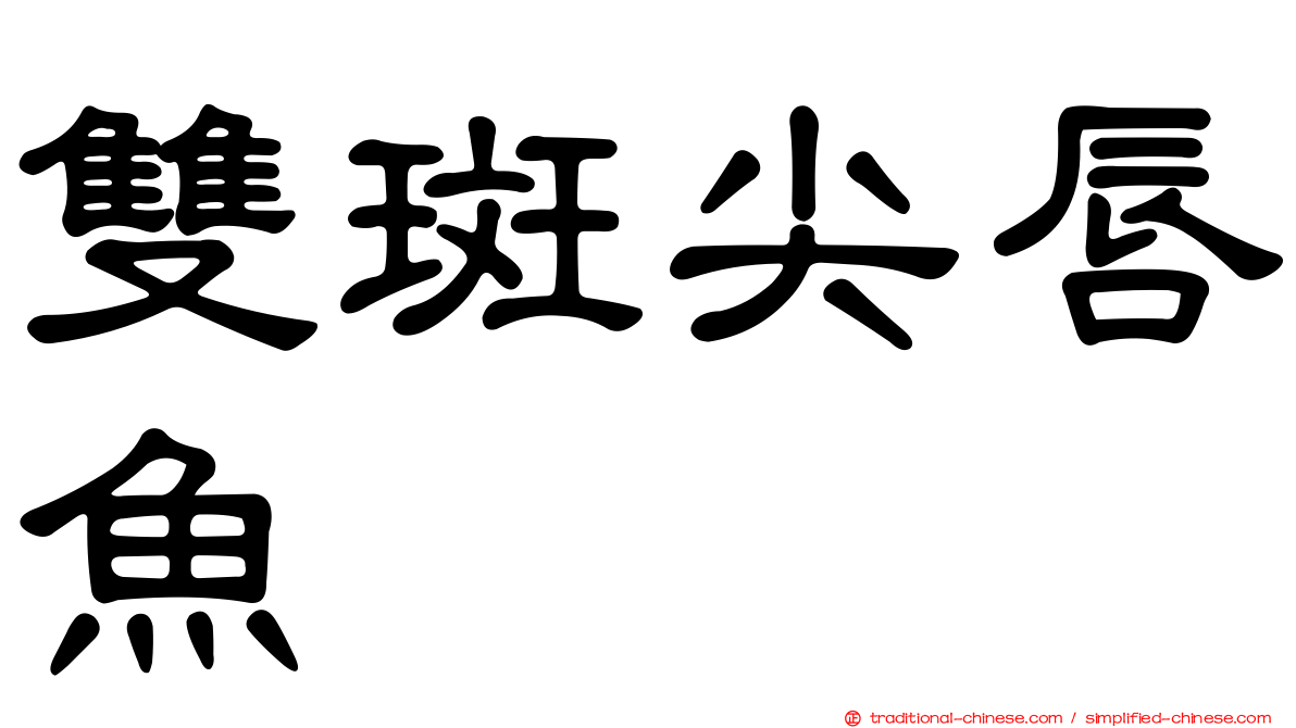 雙斑尖唇魚