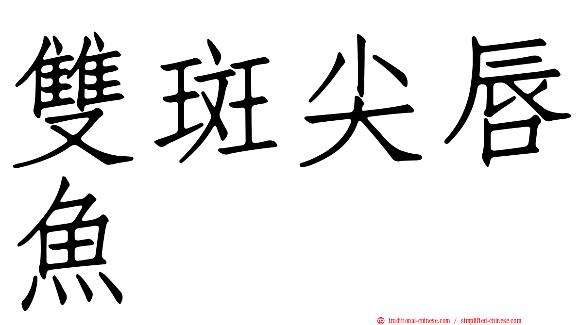 雙斑尖唇魚