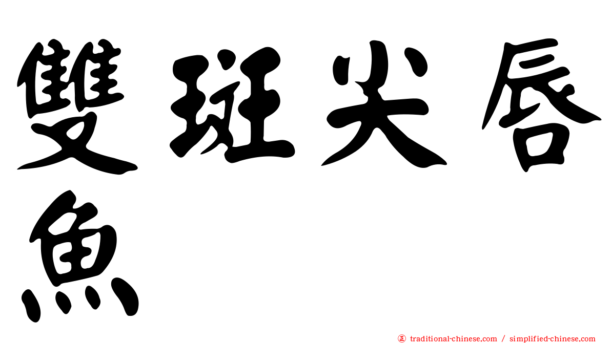 雙斑尖唇魚