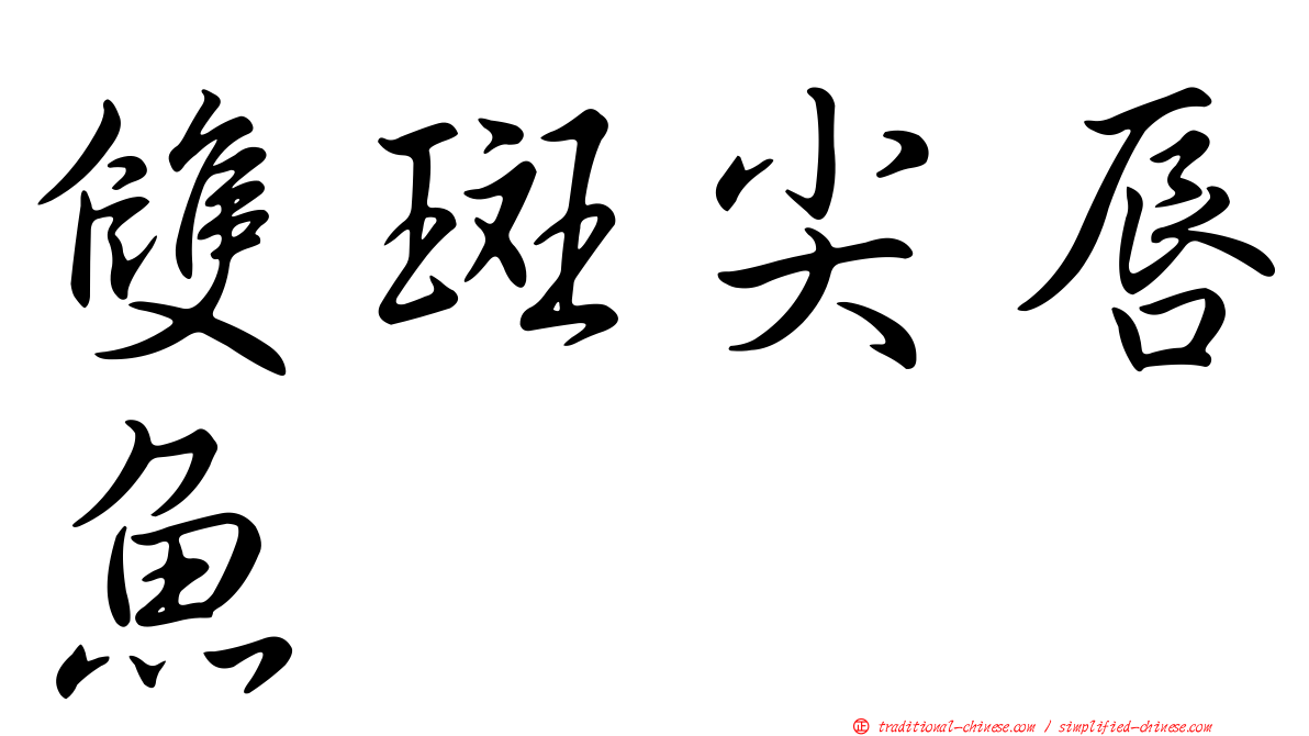 雙斑尖唇魚