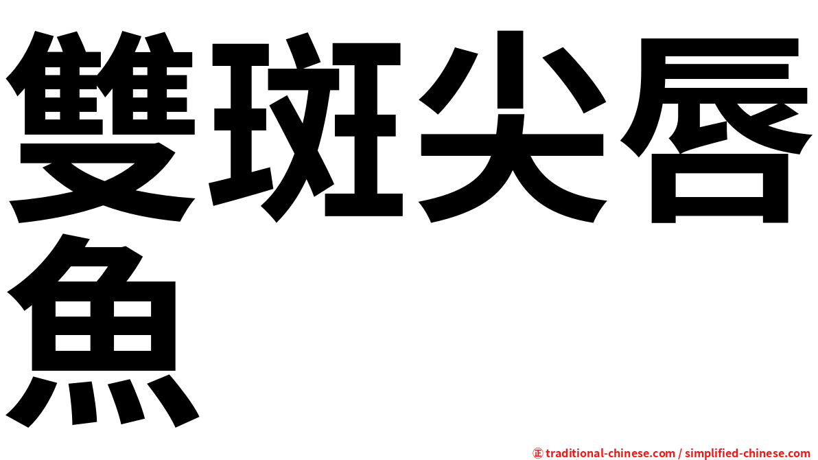 雙斑尖唇魚