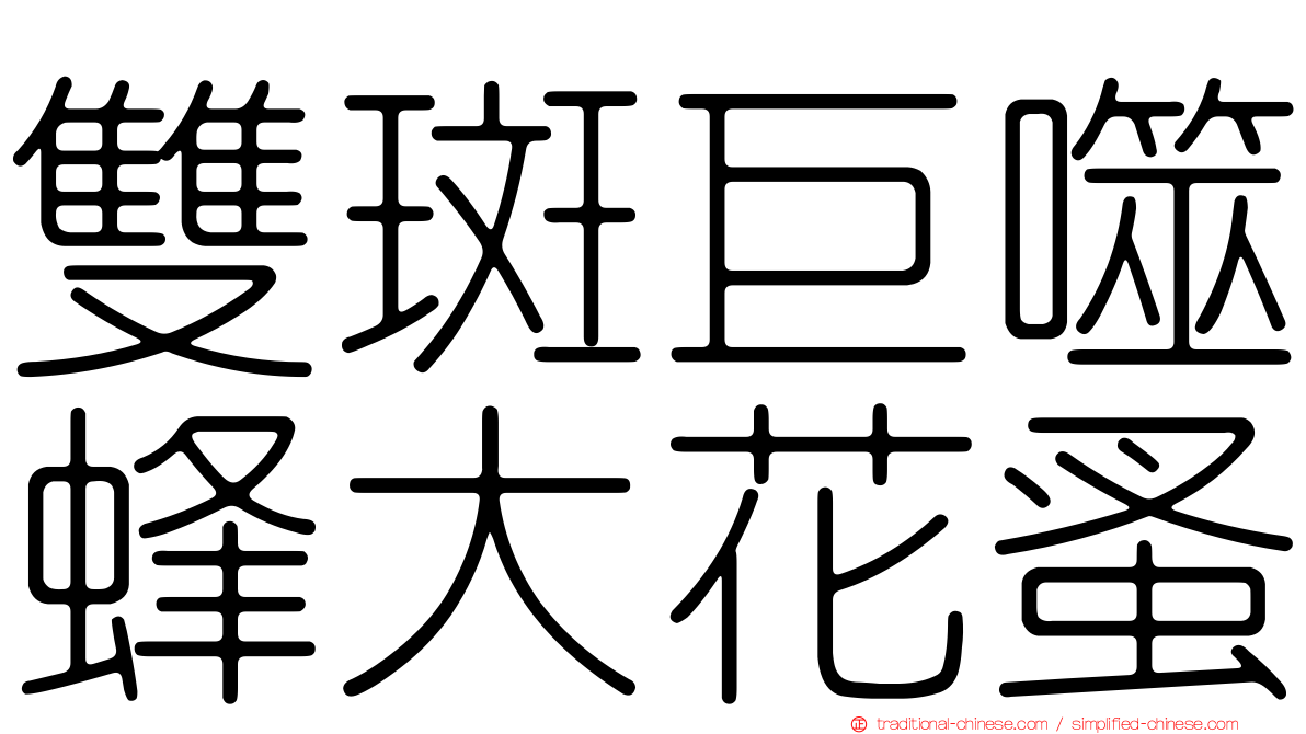 雙斑巨噬蜂大花蚤