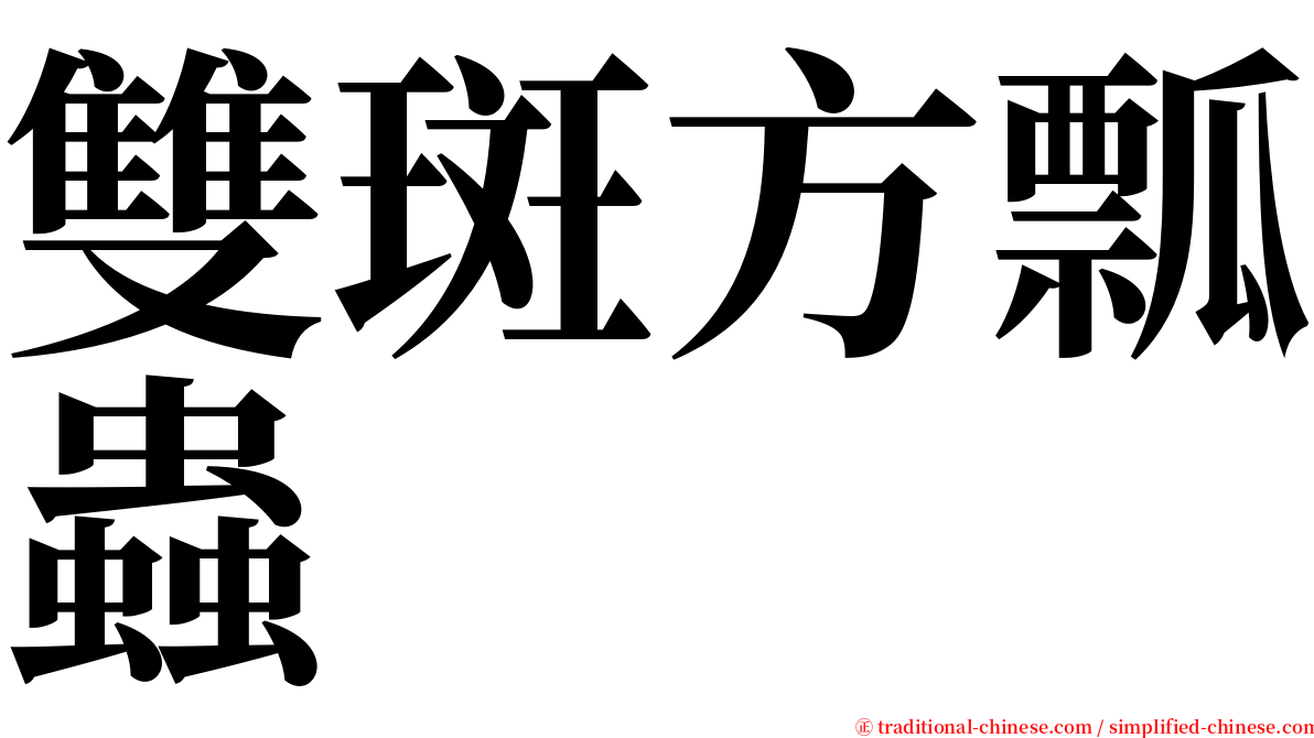 雙斑方瓢蟲 serif font