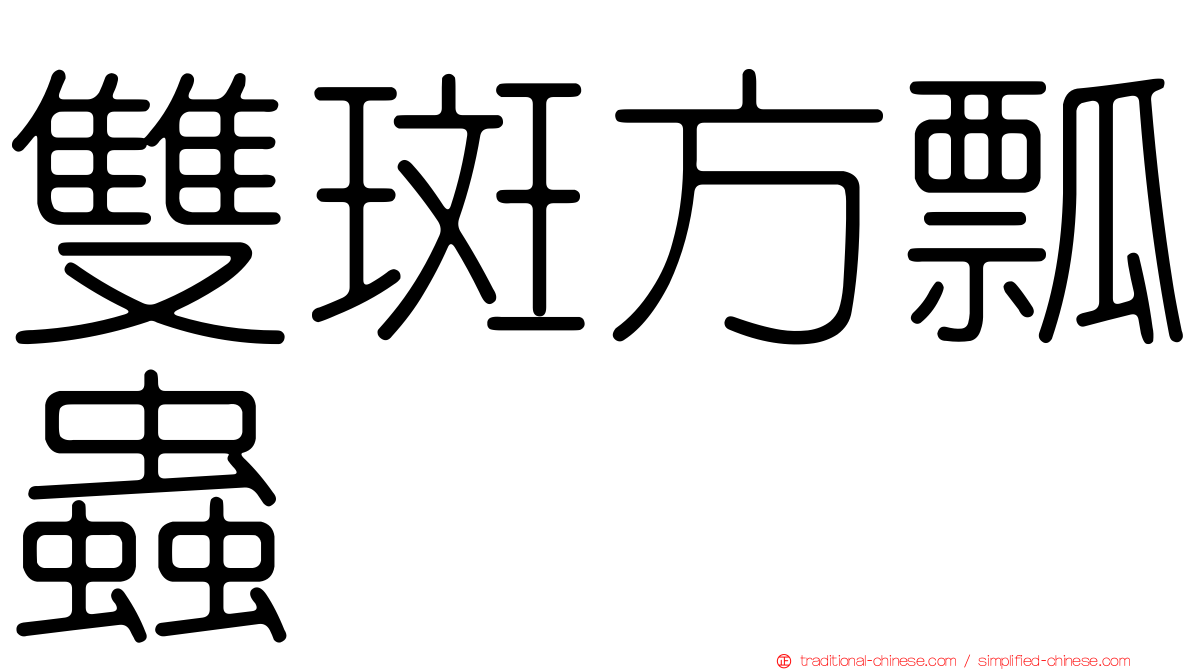 雙斑方瓢蟲