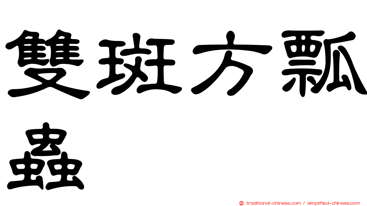 雙斑方瓢蟲