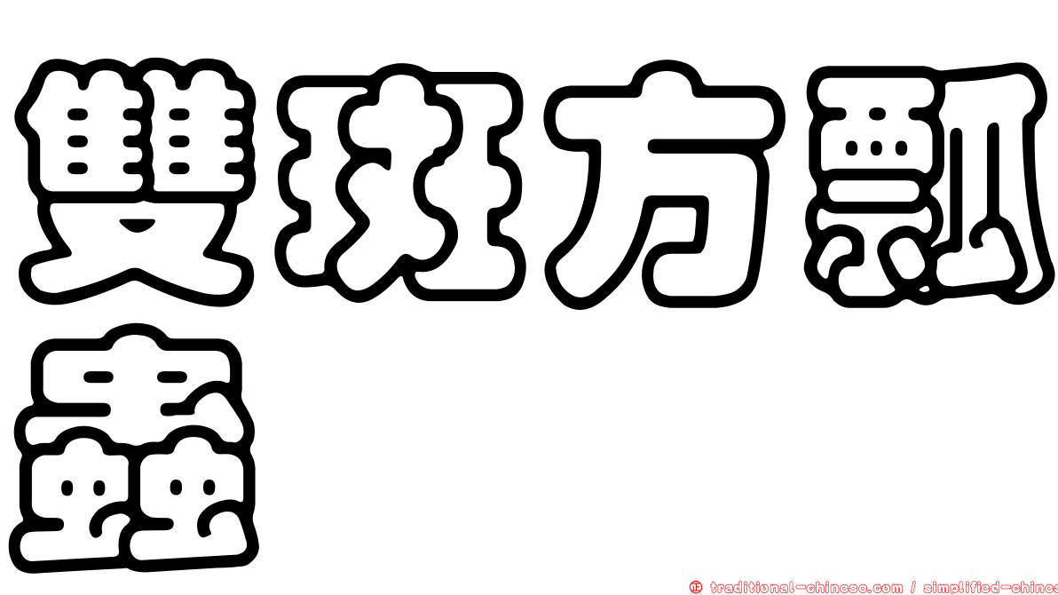 雙斑方瓢蟲